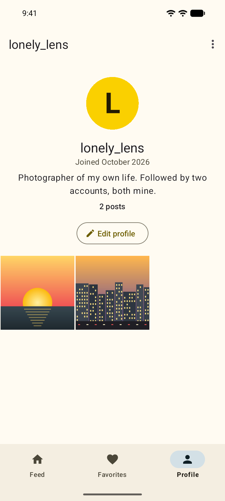 Your own profile with its photo grid